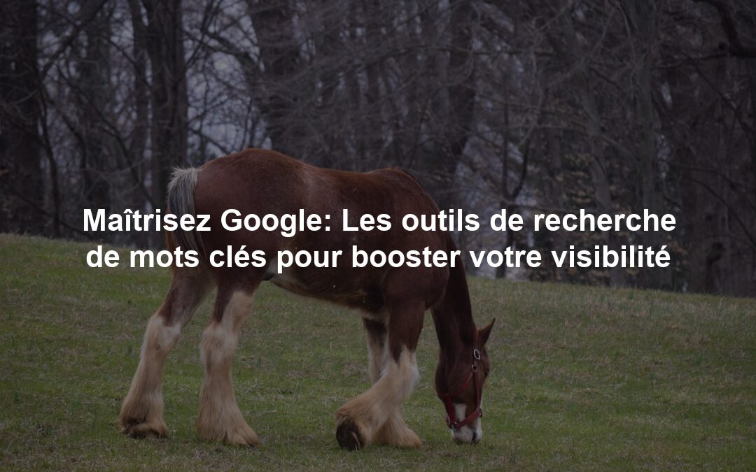 Maîtrisez Google: Les outils de recherche de mots clés pour booster votre visibilité